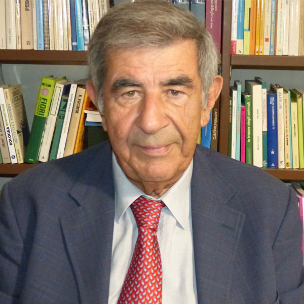 Luigi Guerra